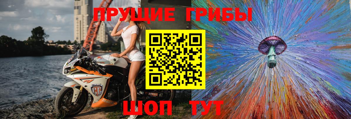Рыбинск  Псилоцибиновые грибы Psilocybine cubensis  Вход с VPN 
